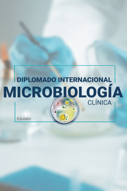 Diplomado Internacional Virtual de Microbiología Clínica (3a Generación)
