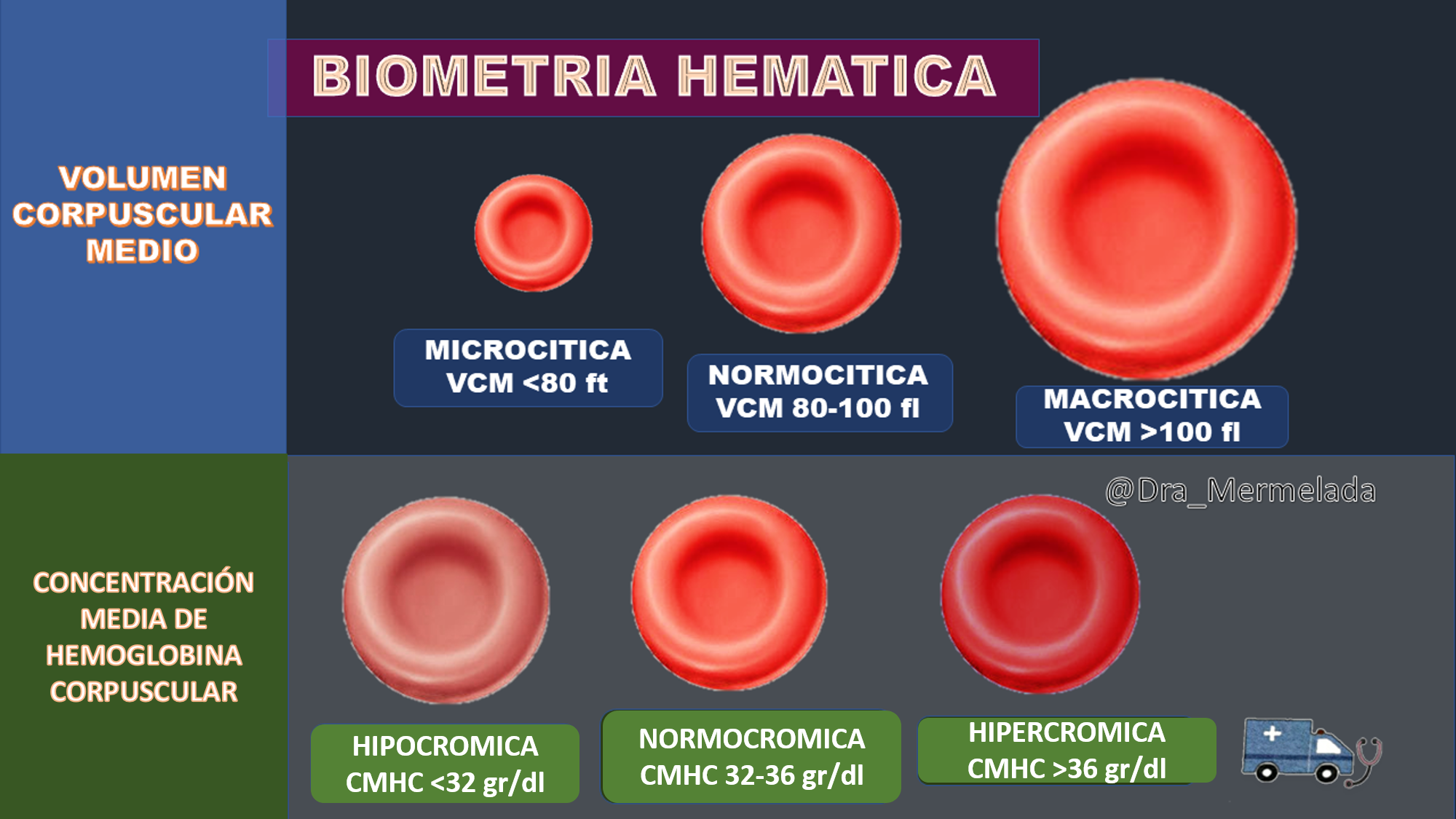 Las Anemias Anemias Dismielopoyetica Mielodisplasicas | My XXX Hot Girl